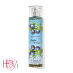 بادی میست Juniper Breeze برند بث اند بادی ورکز